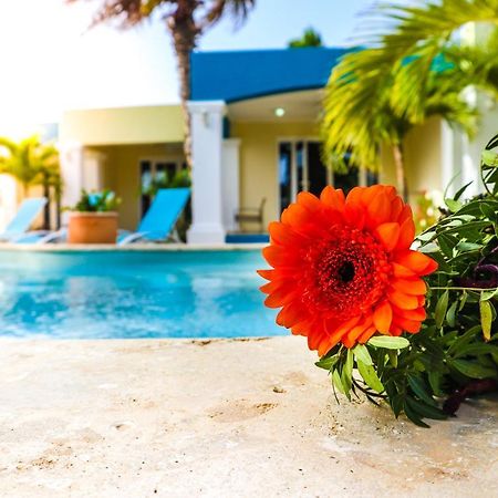 Aqua Viva Suites Kralendijk  Bagian luar foto
